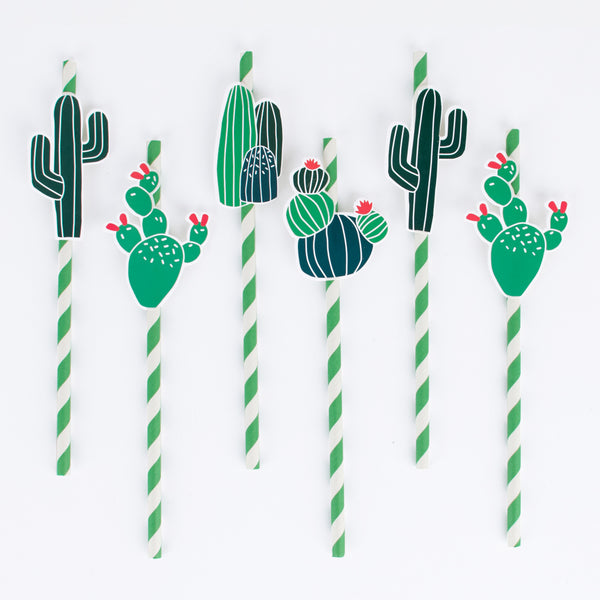 Trinkhalme Kaktus (25)